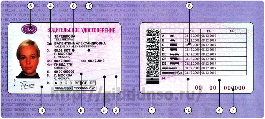 образец водительского удостоверения международного образца 2015